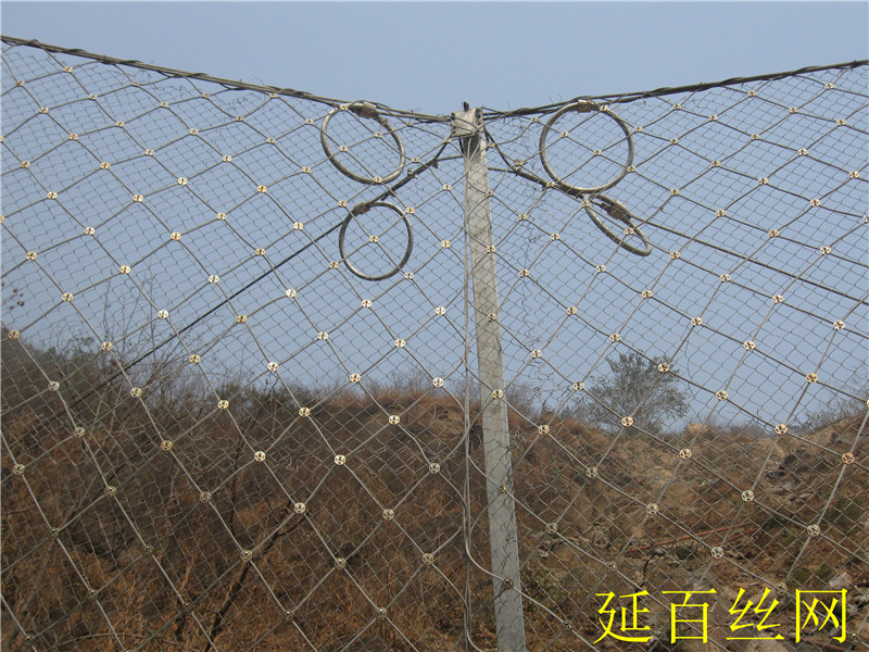 RX-050�ͱ��ӷ��o�W